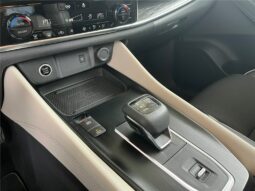 
										Nissan Qashqai full									
