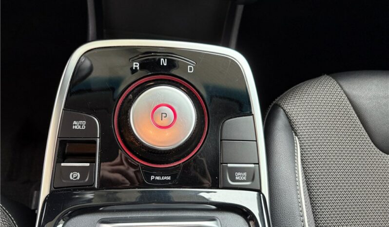 
								Kia e-niro full									