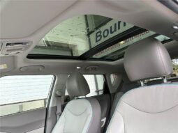 
										Kia Soul full									