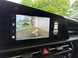 
										Kia Niro full									
