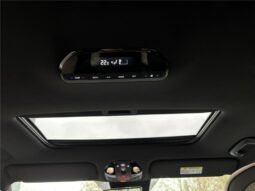 
										Kia EV9 full									