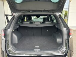 
										Kia Sportage full									