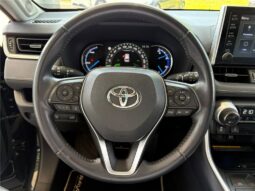
										Toyota RAV4 full									