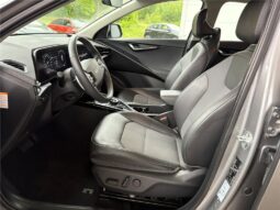 
										Kia Niro full									