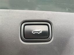 
										Kia Niro full									