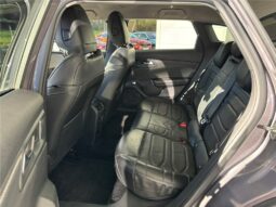 
										Citroën C5 X full									