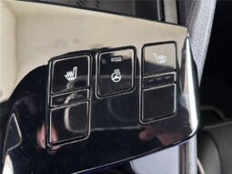 
										Kia Sportage full									