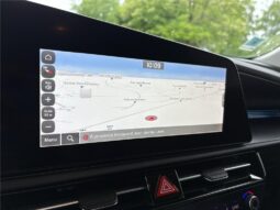 
										Kia Niro full									