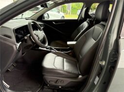 
										Kia Niro full									
