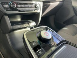 
										Kia e-niro full									