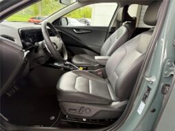 
										Kia Niro full									