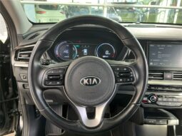
										Kia e-niro full									