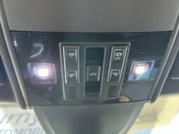 
										VOLKSWAGEN Polo full									