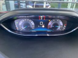 
										PEUGEOT 3008 full									