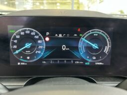 
										KIA Niro full									