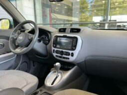 
										KIA Soul EV full									