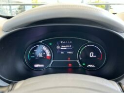 
										KIA Soul EV full									