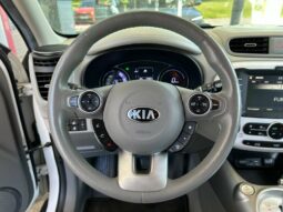
										KIA Soul EV full									
