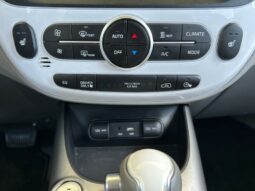 
										KIA Soul EV full									