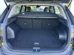 
										KIA Sportage full									