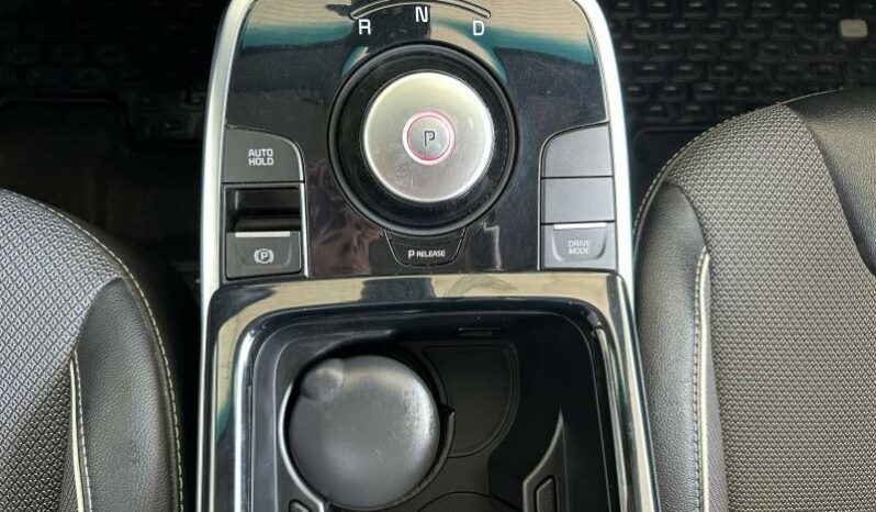 
								KIA e-Niro full									