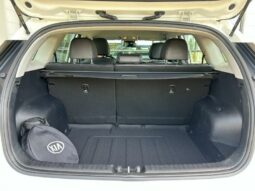 
										KIA e-Niro full									
