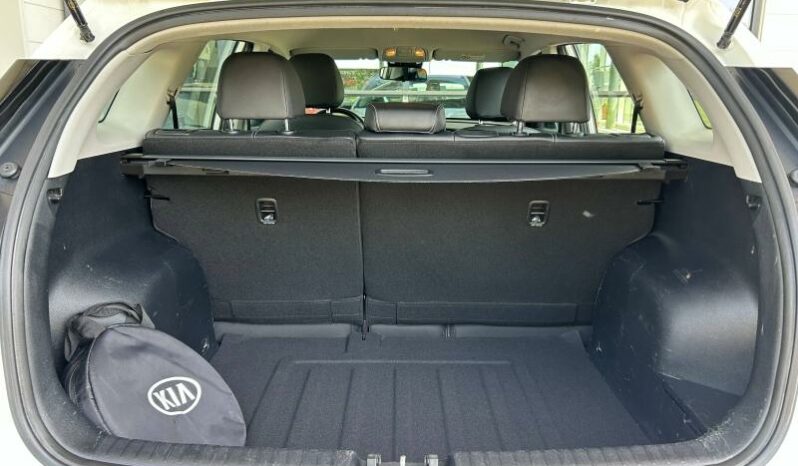 
								KIA e-Niro full									