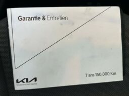 
										KIA e-Niro full									