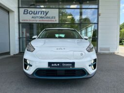 
										KIA e-Niro full									