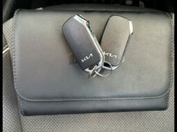 
										KIA e-Niro full									
