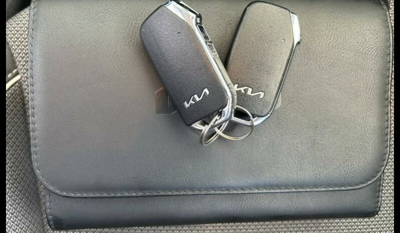
								KIA e-Niro full									