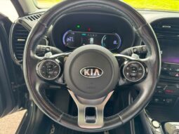 
										KIA e-Soul full									