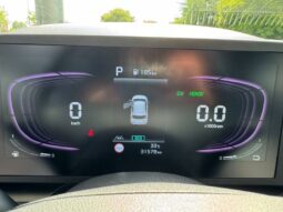 
										KIA Niro full									