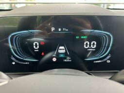 
										KIA Niro full									