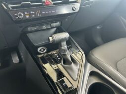 
										KIA Niro full									