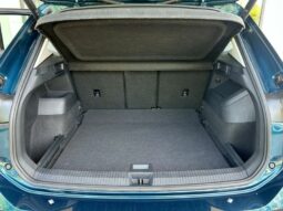 
										VOLKSWAGEN Tiguan full									