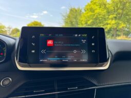
										PEUGEOT 208 full									