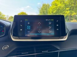 
										PEUGEOT 208 full									