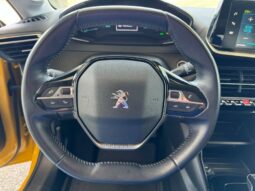 
										PEUGEOT 208 full									
