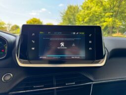 
										PEUGEOT 208 full									
