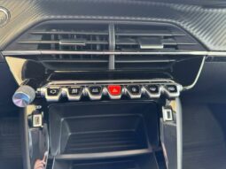
										PEUGEOT 208 full									