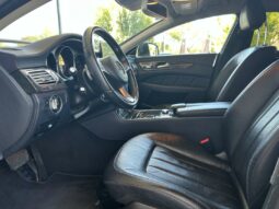 
										MERCEDES-BENZ CLS Shooting Brake full									
