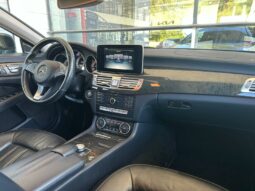 
										MERCEDES-BENZ CLS Shooting Brake full									