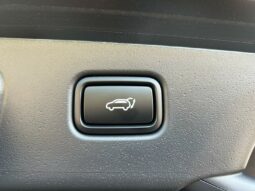 
										KIA Niro full									