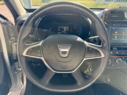 
										DACIA Spring full									