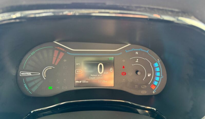 
								DACIA Spring full									